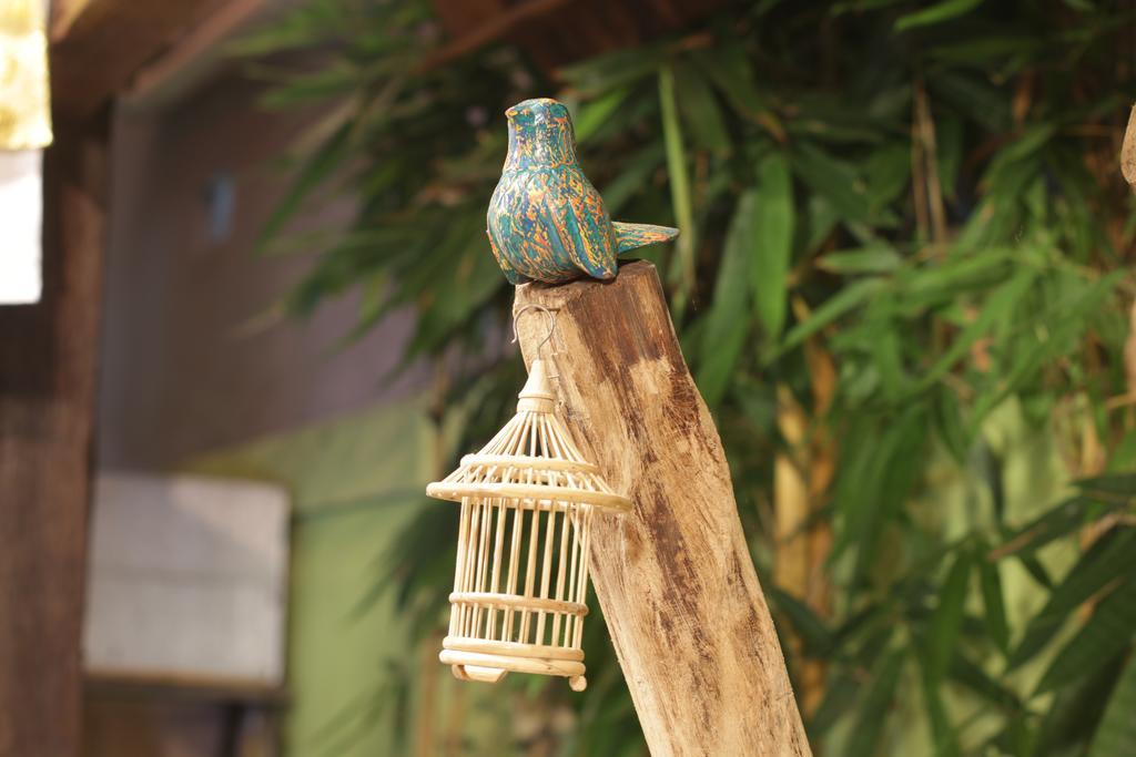 Green Bird Villa - Chse Certified Ubud Exteriér fotografie